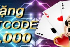 Giftcode K9 Win – Hướng dẫn nhận code đơn giản và dễ dàng nhất